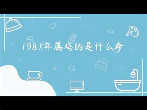 1981屬什麼|【1981屬什麼】1981出生的屬雞人，命中缺什麼？屬雞42歲運勢。